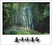 �Ӯ��j���� - �P�䴺�I
